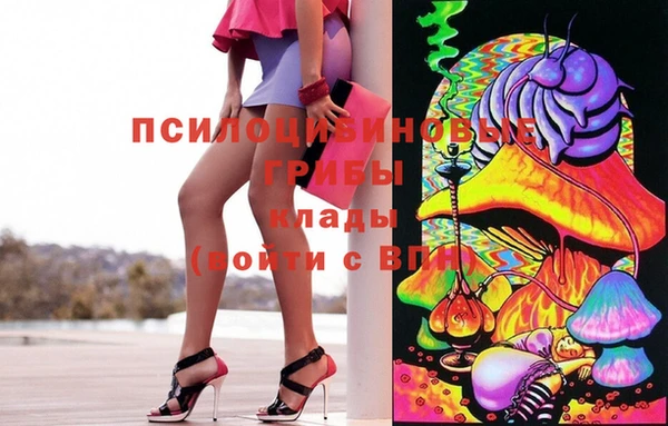 jwh Осинники